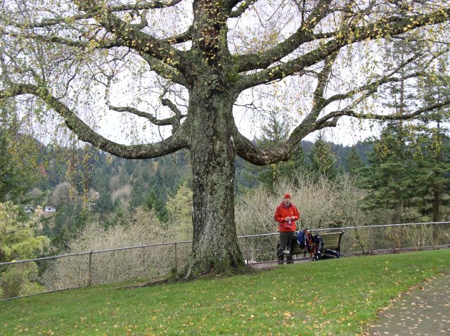 11.13.05 Arboretum-Pittock Mansion-Macleay Park 026 